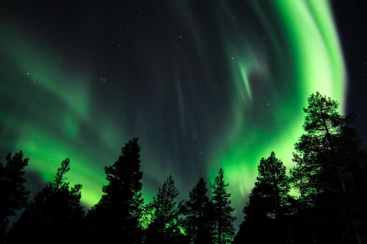 Sorrisniva Arctic Wilderness Lodge Алта Екстер'єр фото